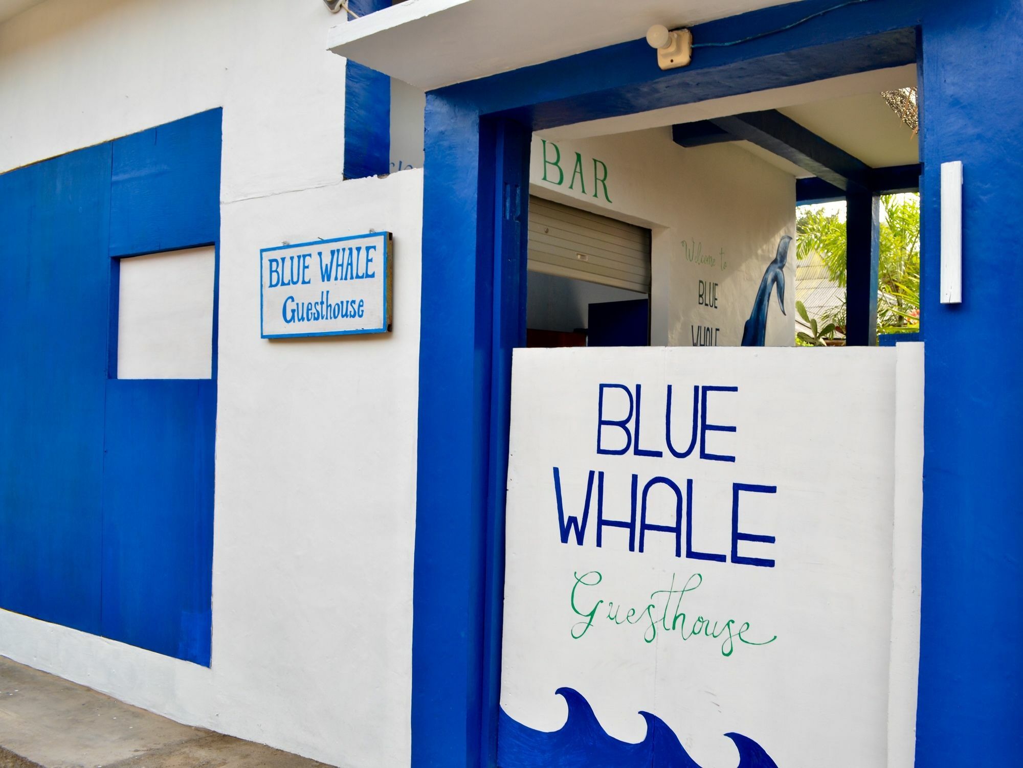Blue Whale Guesthouse Quần đảo Gili Ngoại thất bức ảnh